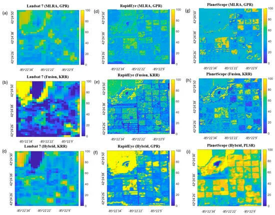 Retrieval of Crop Canopy Chlorophyll: Machine Learning vs. Radiative Transfer Model